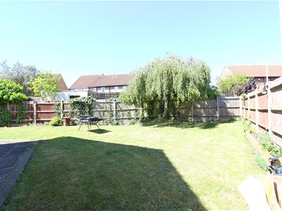 Picture 21